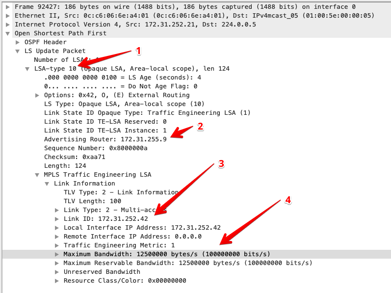 Васильев Кирилл MikroTik Vasilev Kirill MPLS Для больших дядей